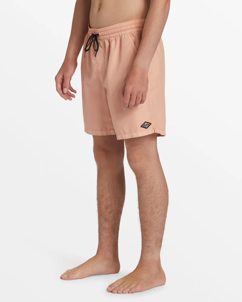 Billabong All Day Overdyed Layback 17" Elastic Waist Shorts - Dusty Melon