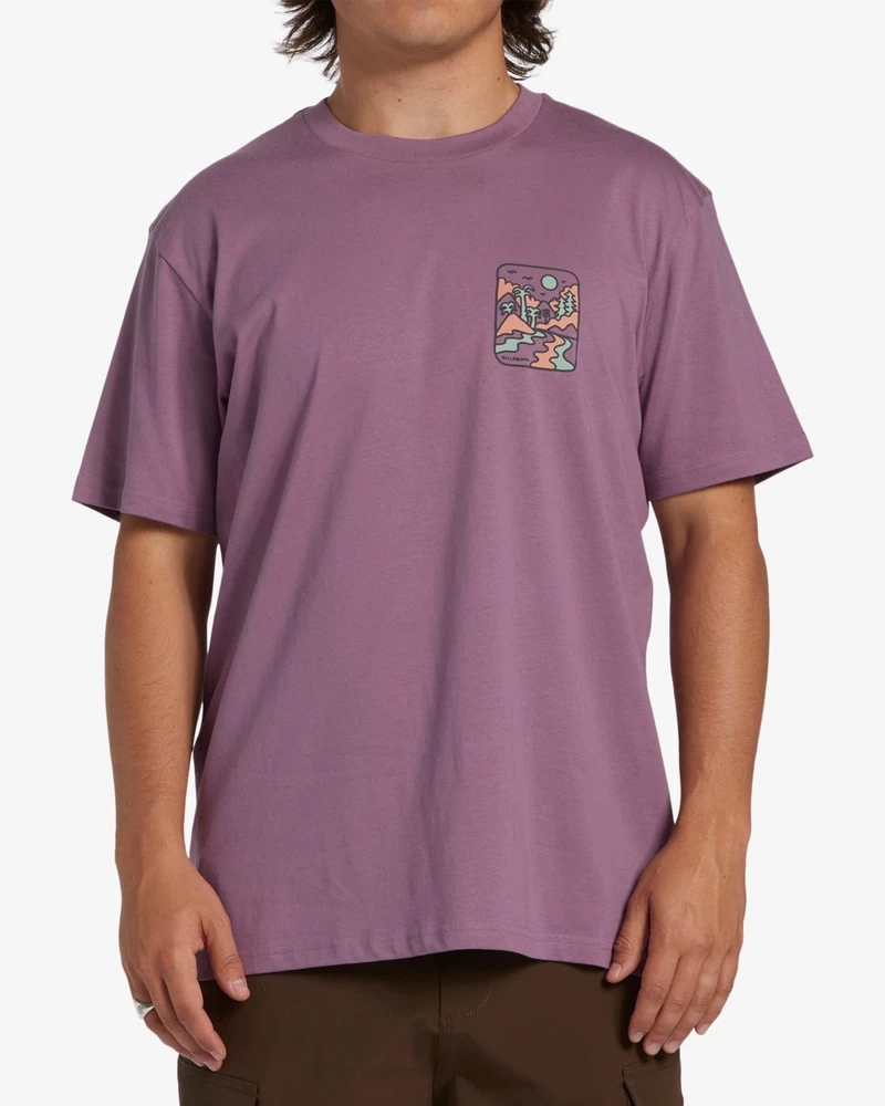 Billabong Shine Short Sleeve T-Shirt - Plum