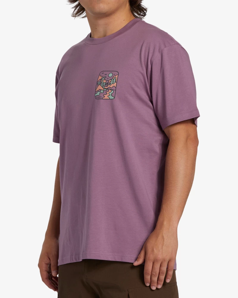 Billabong Shine Short Sleeve T-Shirt - Plum