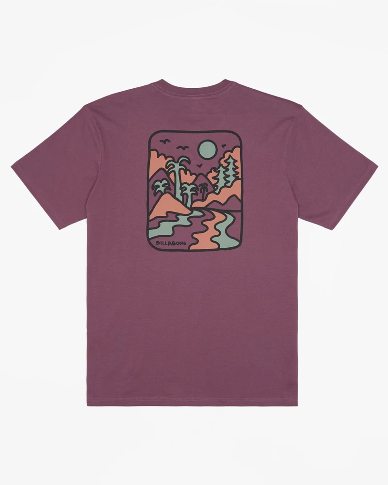 Billabong Shine Short Sleeve T-Shirt - Plum