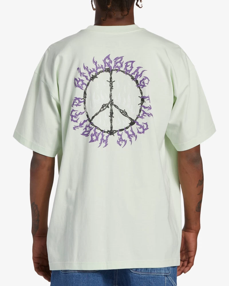 Billabong Harmony OG Short Sleeve T-Shirt - Mint Cream