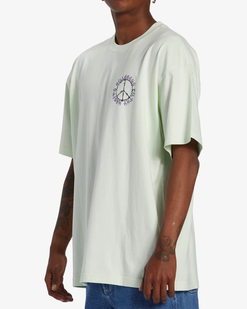 Billabong Harmony OG Short Sleeve T-Shirt - Mint Cream