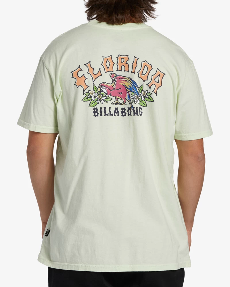 Billabong Arch Florida Short Sleeve T-Shirt - Mint Cream