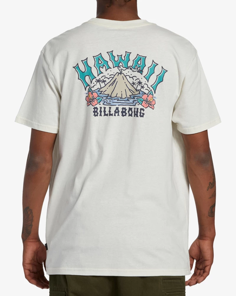 T-shirt A Maniche Corte Billabong Arch Hawaii - Bianco Sporco