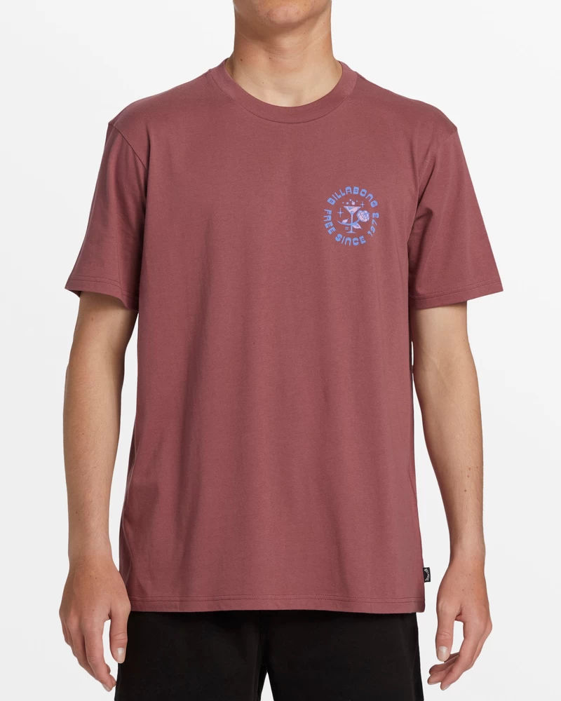 Billabong Passage T-Shirt - Dusty Red