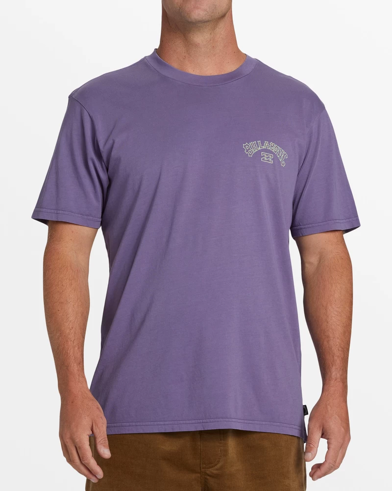 Billabong Arch Wash T-Shirt - Deep Plum
