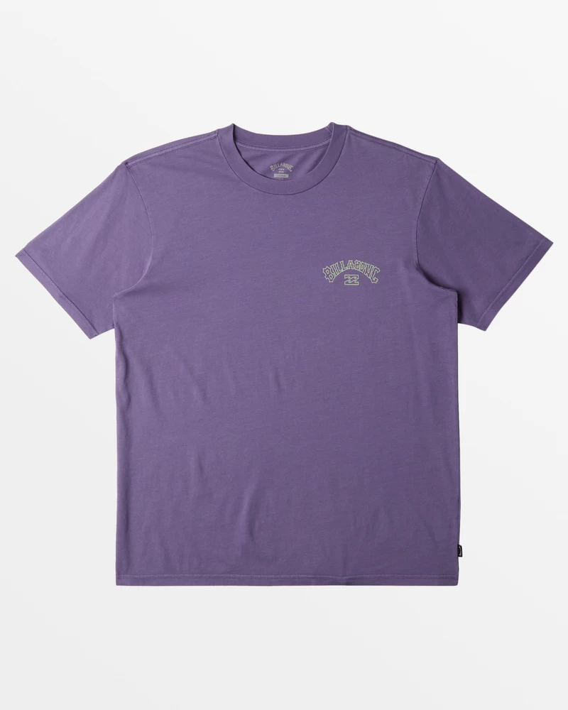 Billabong Arch Wash T-Shirt - Deep Plum