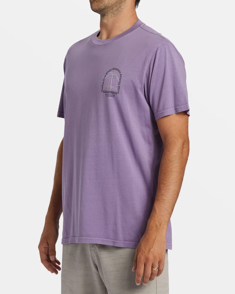 Billabong Vacay T-Shirt - Dusty Grape