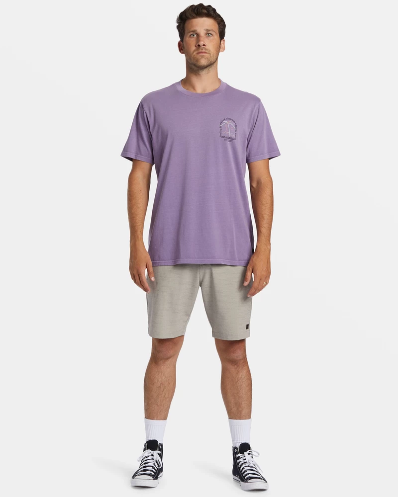 Billabong Vacay T-Shirt - Dusty Grape