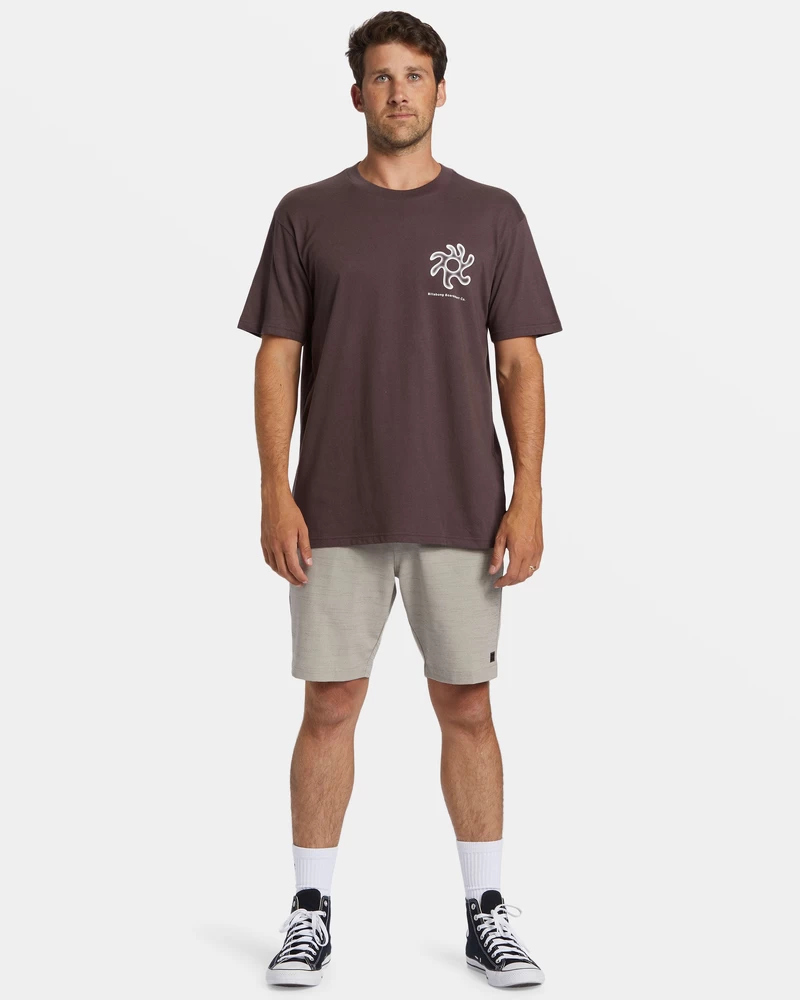 Billabong Figures T-Shirt - Plum