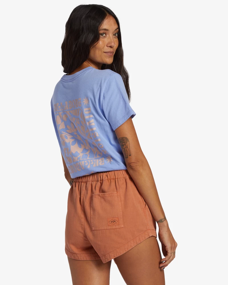 Billabong A/div Safari Lühikesed Püksid - Päikesepõletus