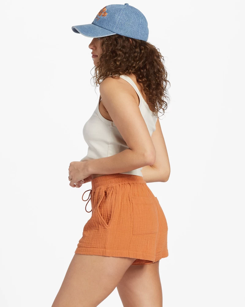 Billabong Day Tripper Shorts - Toffee