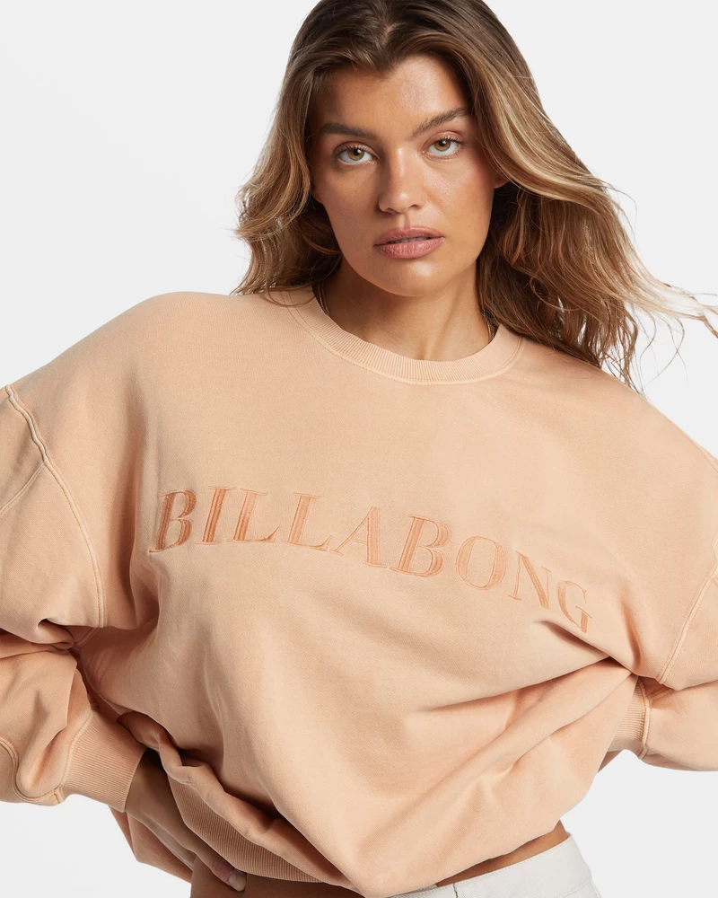 Moletom Billabong Palmin Kendal Com Gola Redonda - Argila Cozida